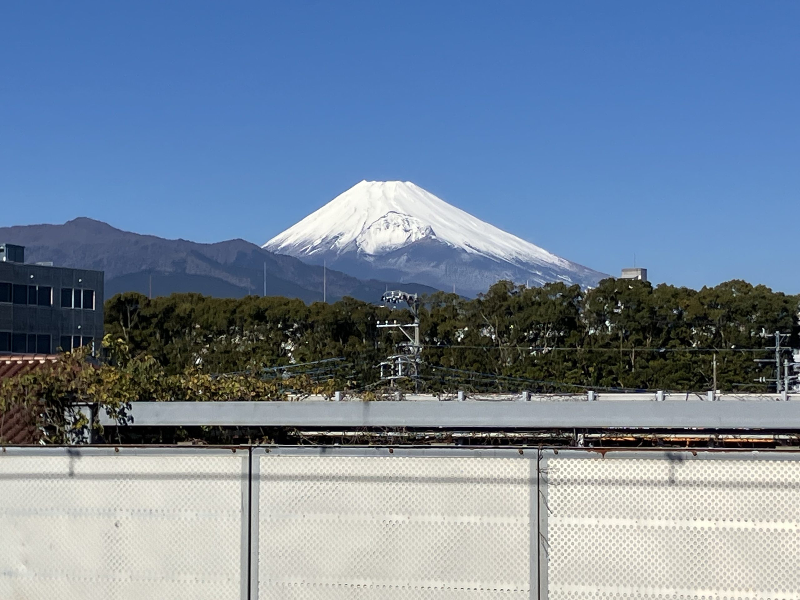 また年が明けましたね